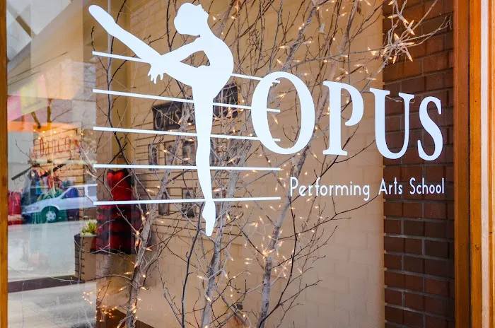 Opus Performing Arts Picture 8