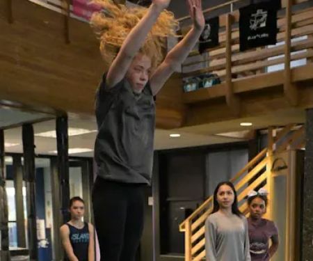Whidbey Island Aerial Athletics