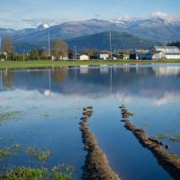Skagit Valley Grange ico