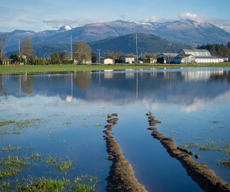 Skagit Valley Grange
