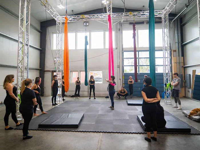 Bellingham Aerial and Dance Picture 3