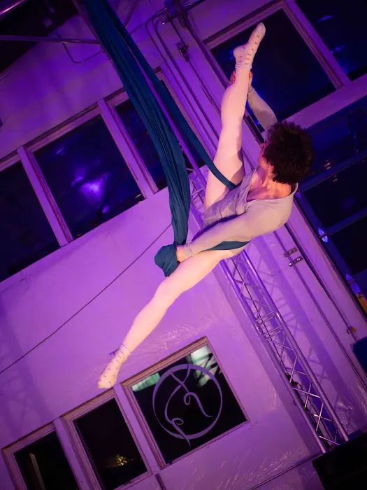 Bellingham Aerial and Dance Picture 2