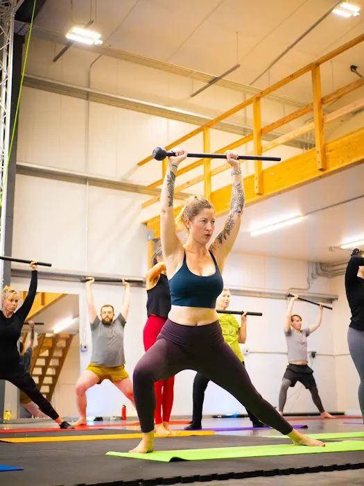 Bellingham Aerial and Dance Picture 6