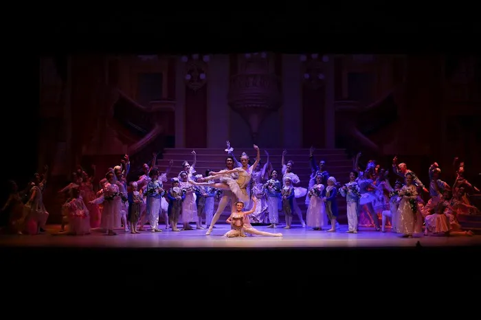 Ballet Workshop Picture 3