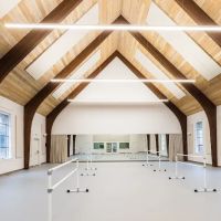 Whim W'Him Contemporary Dance Center ico