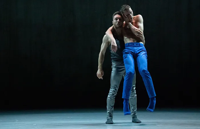 Whim W'Him Contemporary Dance Center Picture 8