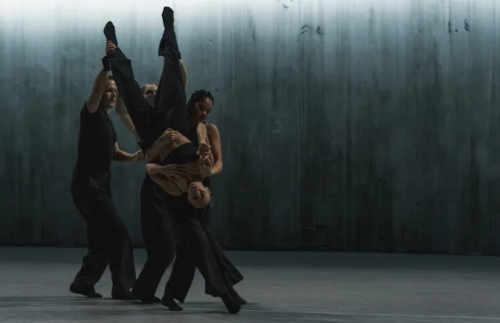 Whim W'Him Contemporary Dance Center Picture 10