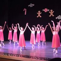 Ballet Slipper ico