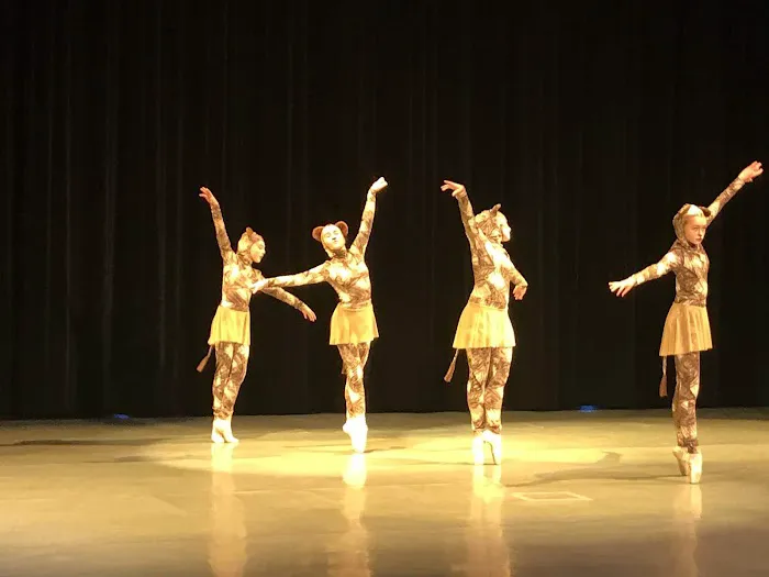 Ballet Slipper Picture 4