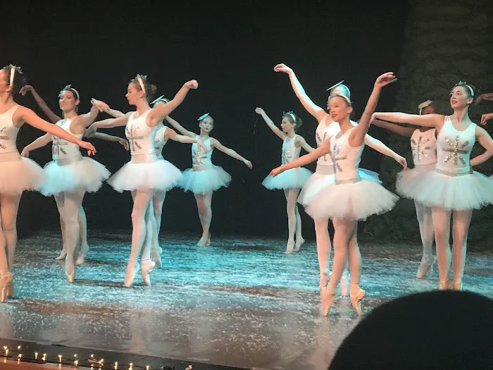 Ballet Slipper Picture 3