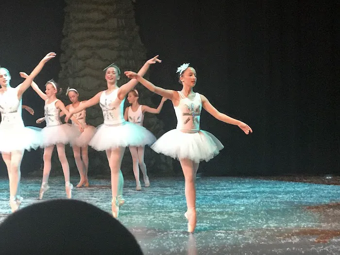 Ballet Slipper Picture 5