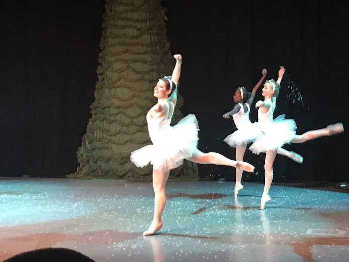 Ballet Slipper Picture 6