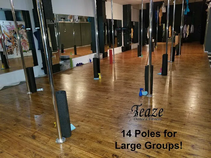 Teaze Dance & Fitness - Open By Appointment Picture 7