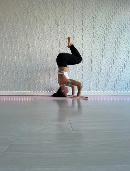 Haus of Pole Picture 3