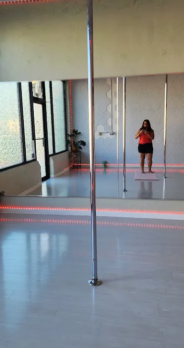 Haus of Pole Picture 8
