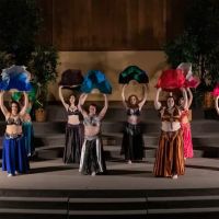 Aalim Dance Academy ico