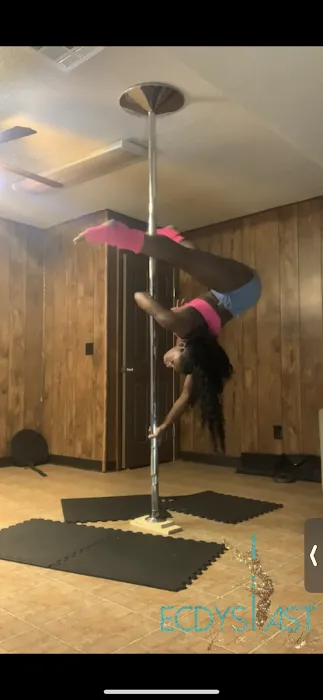 Ecdysiast Dance Studio Picture 1