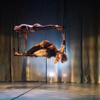 Perpetual Motion Dance OKC ico