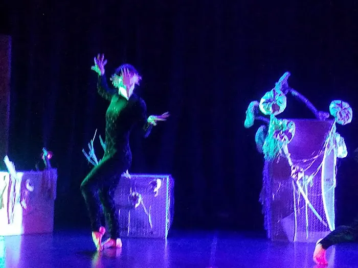 Perpetual Motion Dance OKC Picture 3