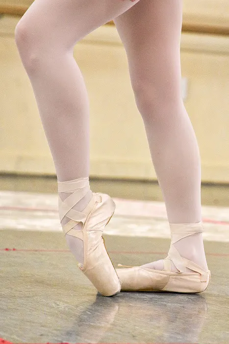 Dance Unlimited Picture 6