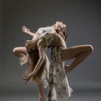 Dance Unlimited ico