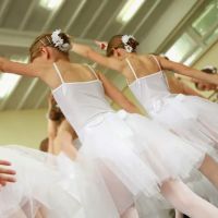 Dove Dance School ico