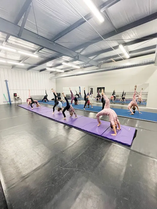 Elevate Dance Academy Picture 2