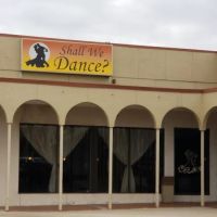 Shall We Dance? ico