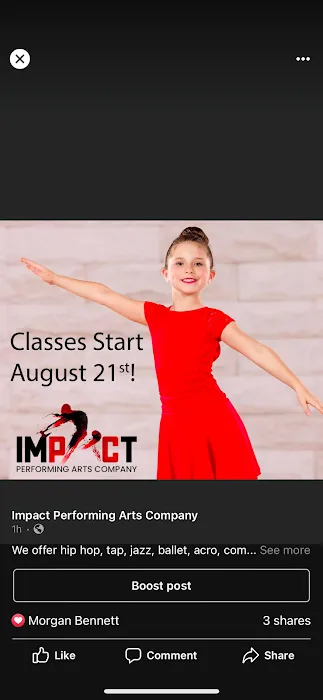 Impact Performing Arts Company Picture 4