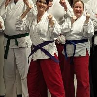Vision Martial Arts Academy ico