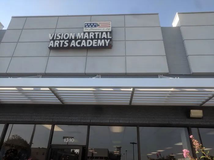 Vision Martial Arts Academy Picture 3