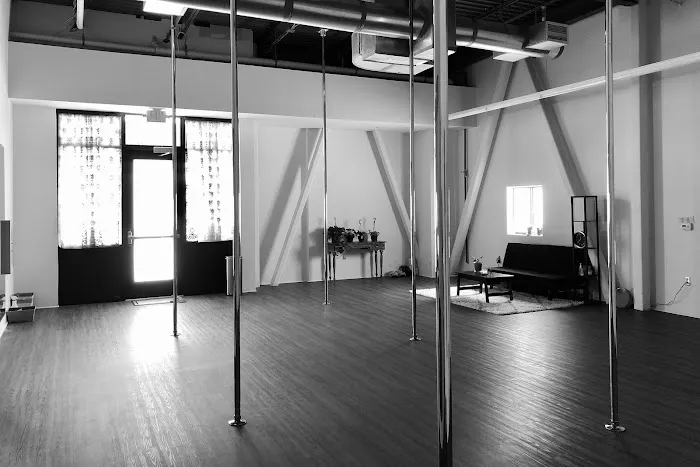 Black Widow Pole Arts Picture 1