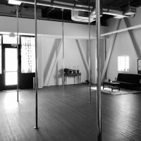 Black Widow Pole Arts ico