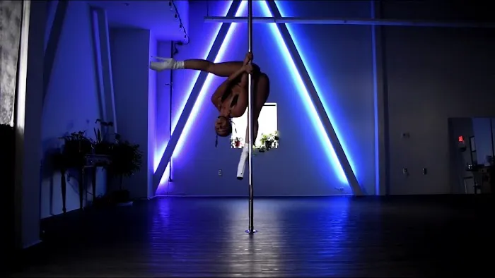 Black Widow Pole Arts Picture 6