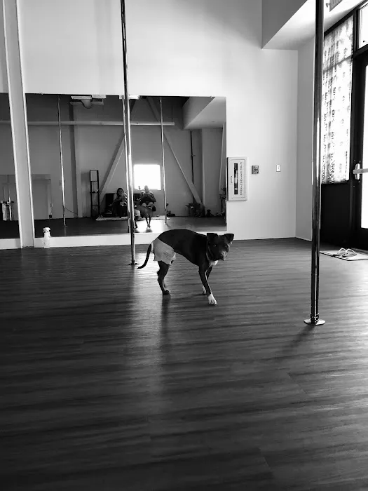 Black Widow Pole Arts Picture 2