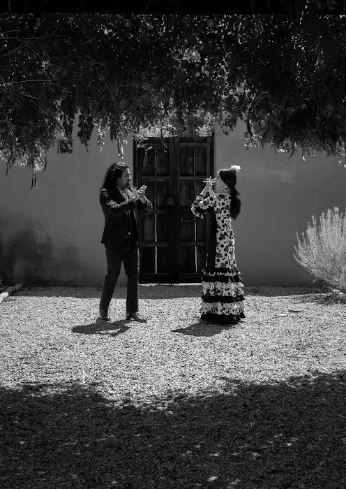 Flamenco Works, Inc. Picture 3