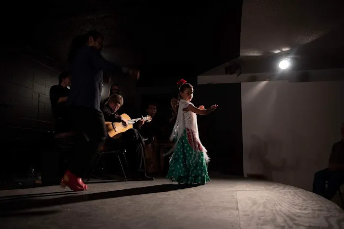 Flamenco Works, Inc. Picture 8