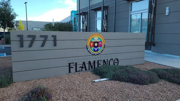National Institute of Flamenco & Conservatory of Flamenco Arts Picture 3