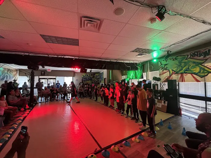 The Dancing Turtle LLC Picture 9