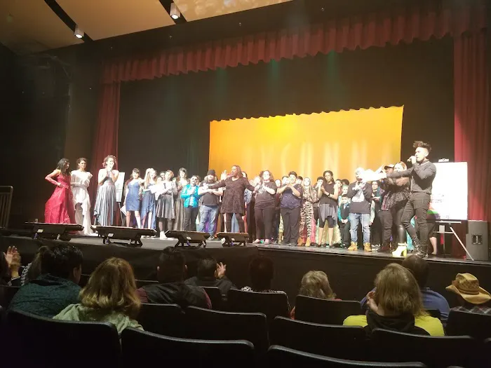 African American Performing Arts Center Picture 1