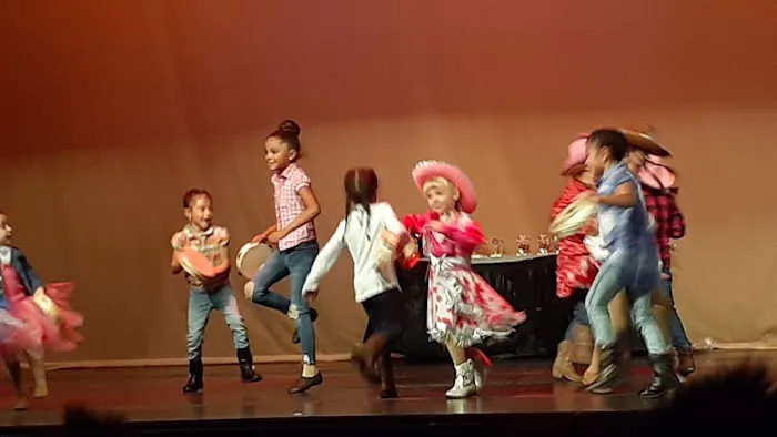 African American Performing Arts Center Picture 8