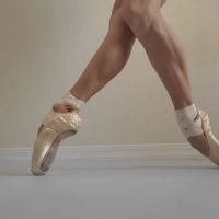 New Mexico Ballet Company ico