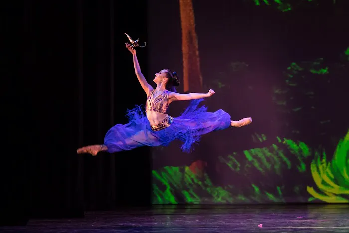 New Mexico Ballet Company Picture 5