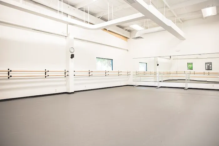 New Mexico Ballet Company Picture 7