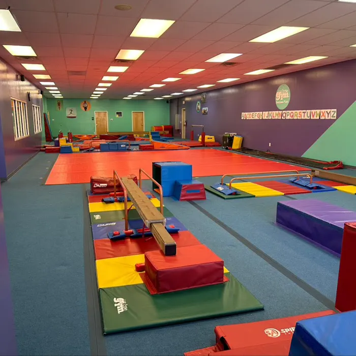 The Little Gym of Albuquerque Picture 1