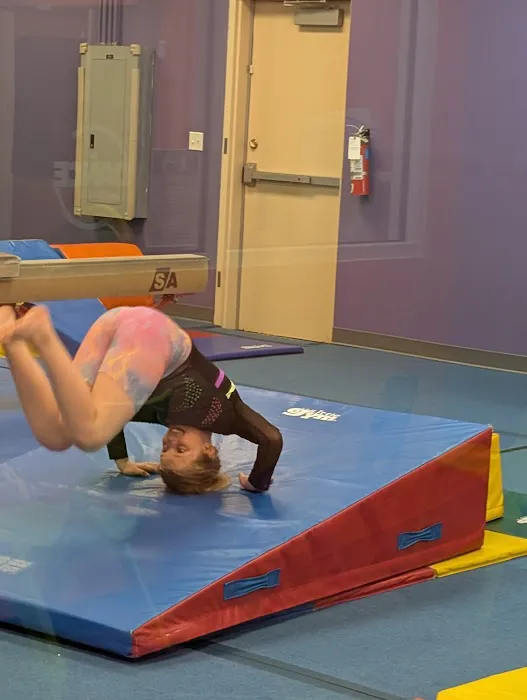 The Little Gym of Albuquerque Picture 10