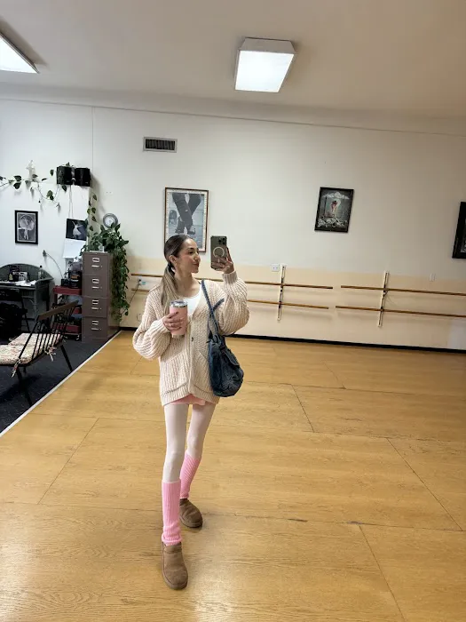 Ballet Basics Picture 6