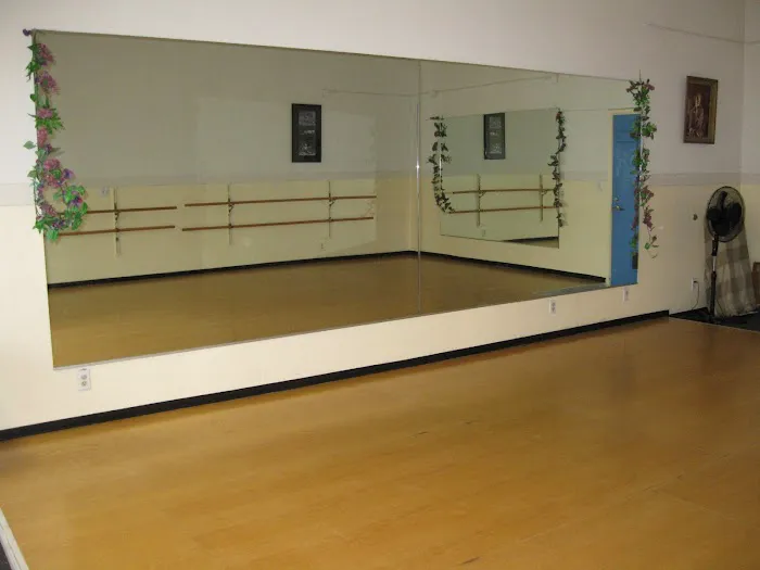 Ballet Basics Picture 9