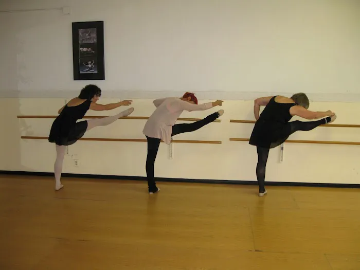 Ballet Basics Picture 8