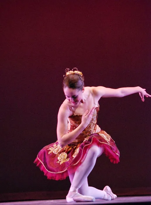 San Diego Civic Youth Ballet Picture 7